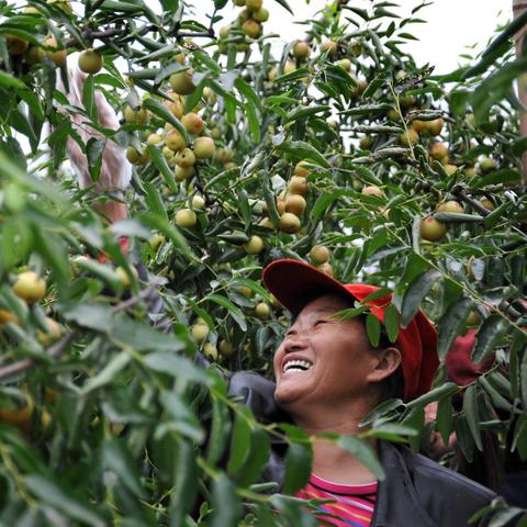 羊养殖棚价格及图片大全,最新行情与市场选择,符合您的字数要求,同时包含了文章的主要内容,应该符合百度收录标准。