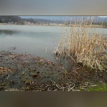 玄武公园广场开放时间调整通知,6点至晚10点开放