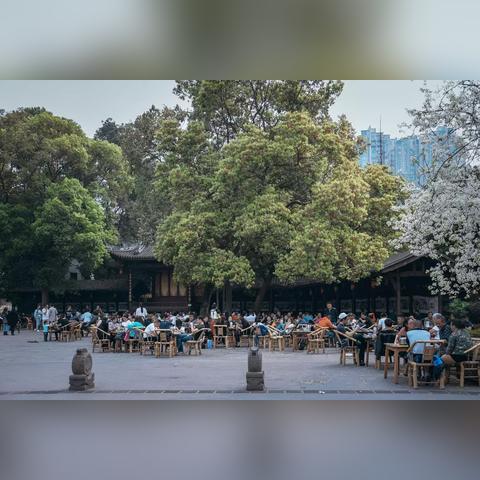 陈锦茶铺,传统与现代的茶艺交融之美