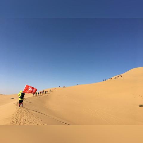 五一排球新阵容蓄势待发,实力增强备战比赛!