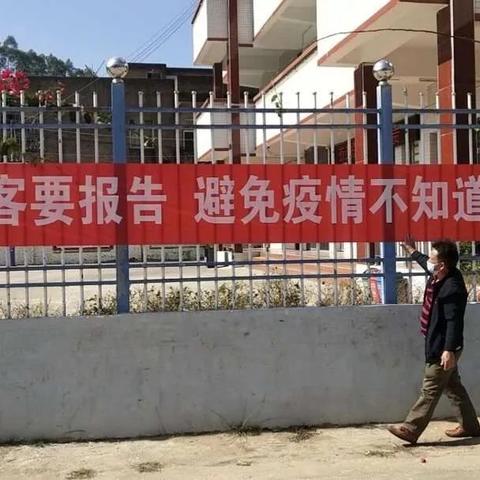 我为家乡献绿材 第7页