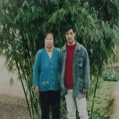 汉源农村夫妻事件真相调查揭秘,最新进展与官方处理措施