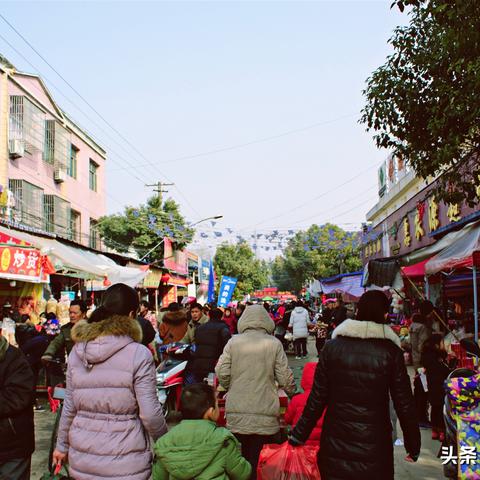 舒城理发店卷发价格解析，趋势、原因与选择建议