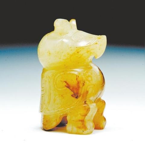 人体骨骼奥秘，视频图片集锦探索骨骼系统魅力