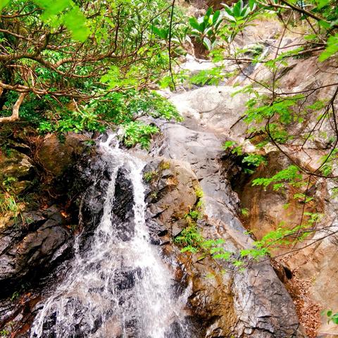 深圳单车摔伤事件进展及关注细节,呼吁公正处理保障受伤者权益