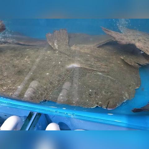 浙江码头事件最新版视频深度解析,加强安全管理,保障工人权益