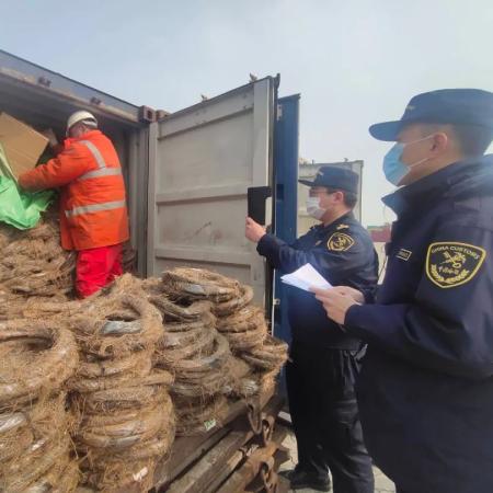 我为家乡献绿材 第6页