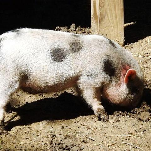 住院病例图片揭示医疗挑战与希望,现实状况深度解析