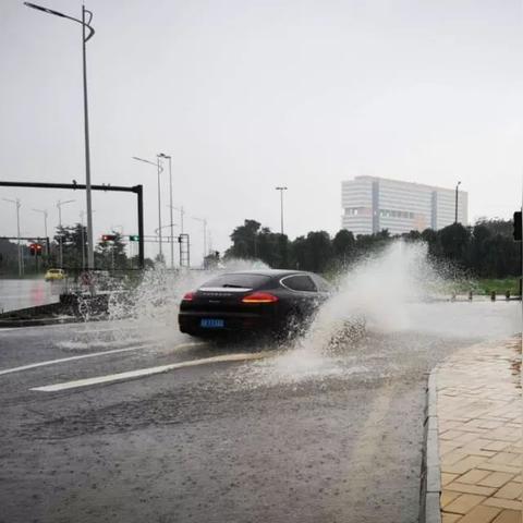 顺德应对疫情补课政策，保障教育质量，减少学习延误影响