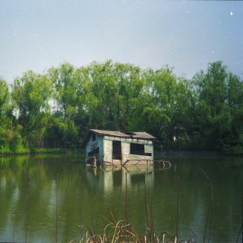 上海工厂倒闭潮，成因、影响与对策分析