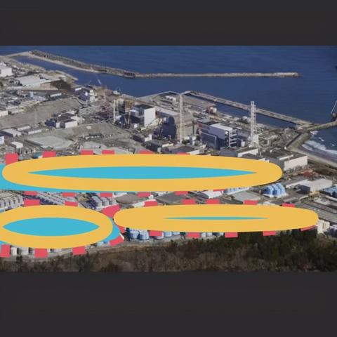 日本头脑王决赛,智慧锋芒的较量