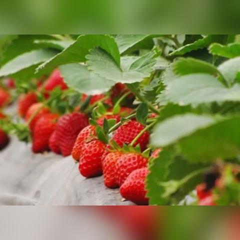 汝州驾校事故警示,驾驶培训需强化,安全意识不可少