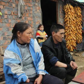 安康现代化养猪业风采展示,养殖与销售全视频概览