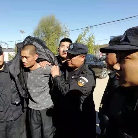 平泉抓捕行动揭示真相,案件进展公众关注,正义处理进行中