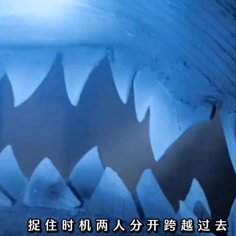 小美鲨鱼最新视频,神秘海洋探险之旅