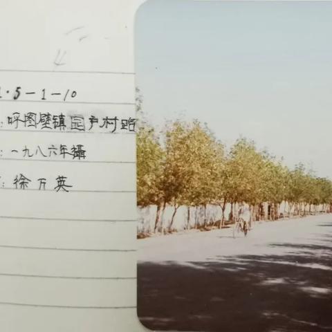 呼芳路最新通车进展,顺利通车,缓解交通压力