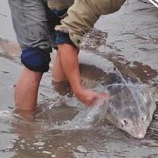 湖北江边事故视频曝光,长江畔安全隐患及应对措施关注热议