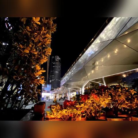 段老师卓越教学,引领未来教育新方向