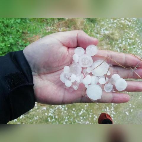 台州冰雹袭击紧急应对，全市齐心保障安全