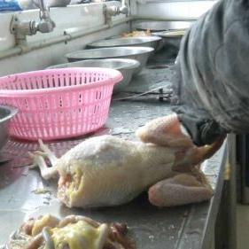 扬州禽类价格动态,季节性上涨趋势及影响因素分析