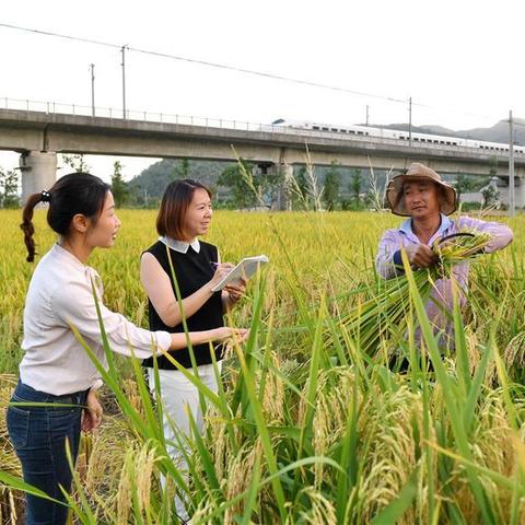 霞浦乡村振兴巡察报告揭示最新进展与面临的挑战