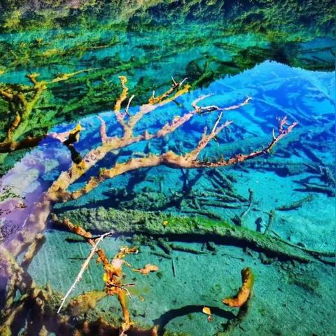 九寨沟景区今日美景依旧,服务升级保障游客安全体验