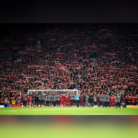 新村砍树背后的绿色变迁与环保探索视频集锦