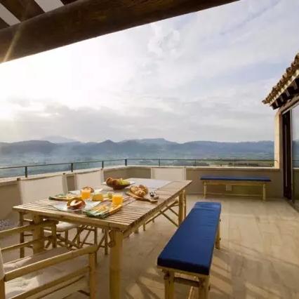 宋卫平离开绿城集团,专注新领域发展,最新动态持续关注