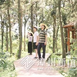 漳浦万安矿事故原因分析及防范措施关注矿山安全监管