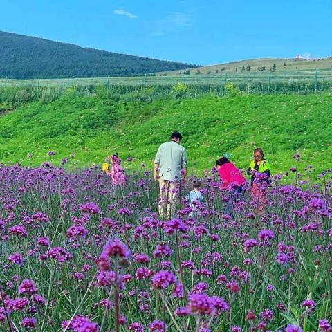 绿水青山就是金山银山 第4页