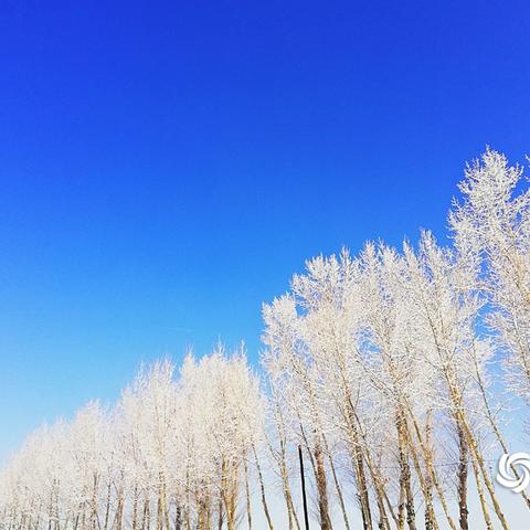 河北蔚蓝海岸新篇章,自然美景与文化魅力的完美结合