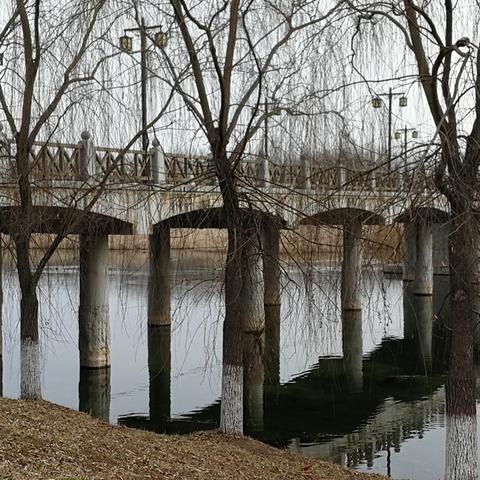 莱芜港里安置区新进展,现代化社区建设如火如荼