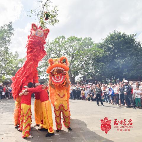 南海移民政策解读及申请指南,最新文件解析与查询路径