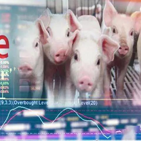 猪场招聘官网,最新职位更新与求职指导一站式服务