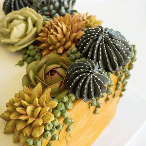 妖精图片视频大全，探索神秘世界的视觉奇旅