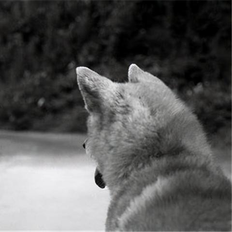 军企共建·生态长城 第3页