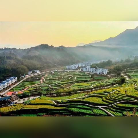 建宁林地承包最新动态公告发布,承包信息全面更新