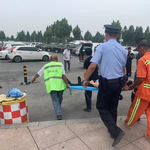 保定东站未来规划蓝图揭秘,综合交通枢纽助力区域发展,2024年全新呈现