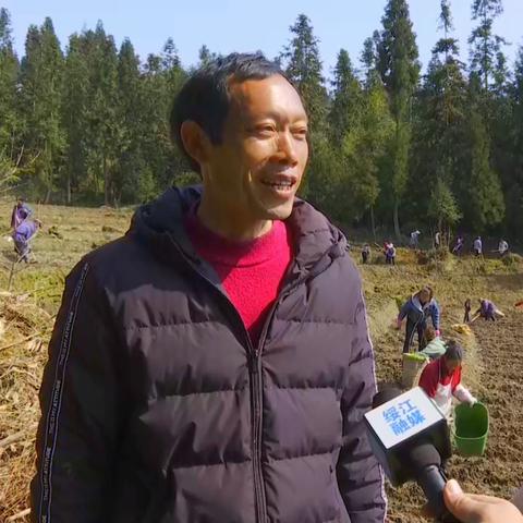 云南绥江大团岩公路进展顺利,预计全线贯通助推经济发展