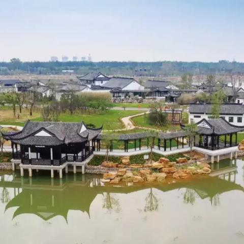 园博园盛大开园,文化盛宴启幕!