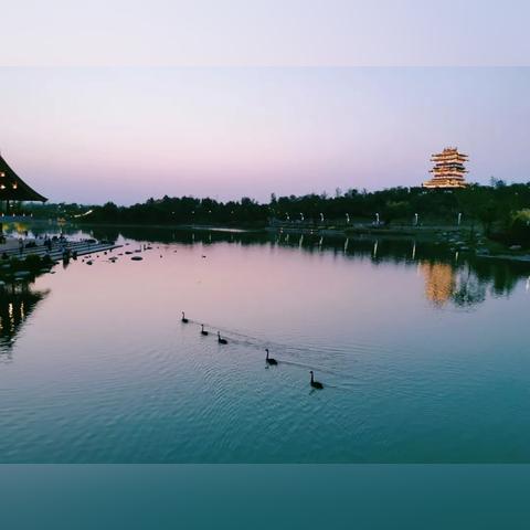 园博园盛大开园,文化盛宴启幕!