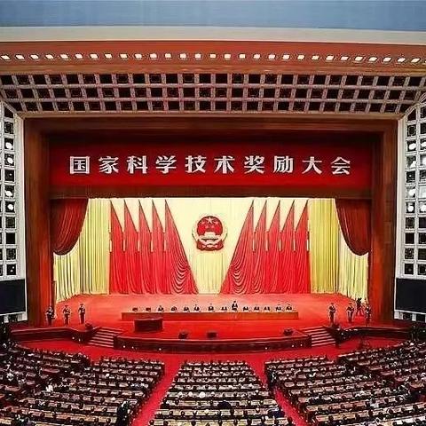 最新项目奖评选规则详解，创新、实用、影响力与团队执行力并重