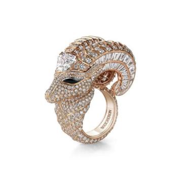 雨林时光图片,领略自然之美的璀璨瞬间