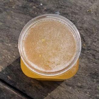 全国城市低温极值排名及气候影响解析