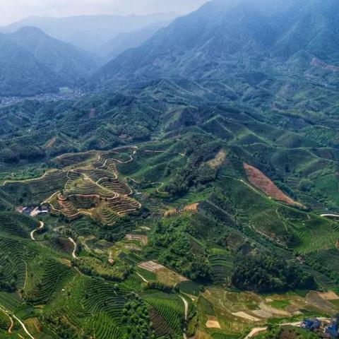 遂昌到大柘路线详解,最新路线图及关键地点标注