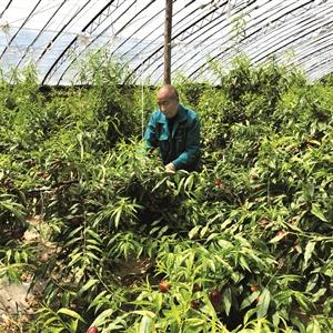 盂县金龙大街鱼塘拆迁进展顺利,补偿安置方案已公布,区域未来发展可期