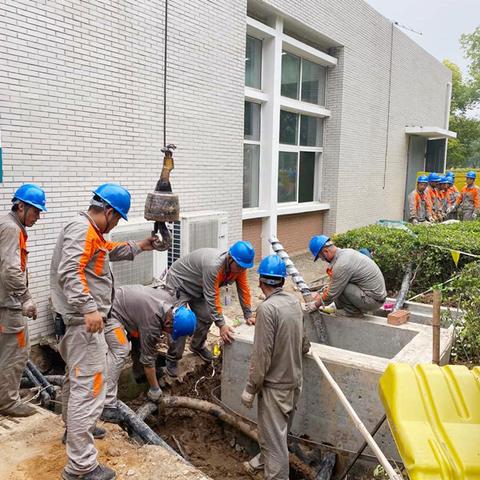 沭阳建陵公园周边租房攻略,多样房源选择与搬家指南