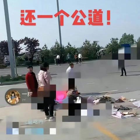 宝鸡跳楼事件最新进展,部门调查原因,社会广泛关注