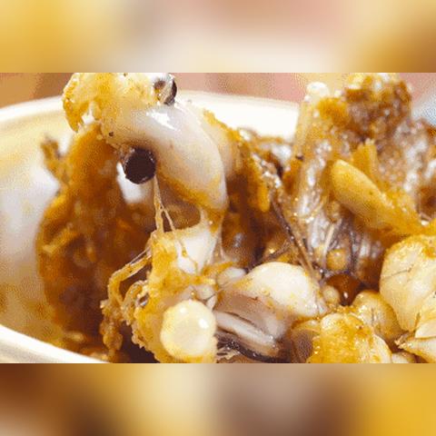 多地养牛娃政策解析,因地制宜,需了解法规合规饲养