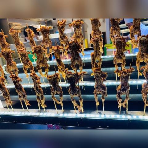 多地养牛娃政策解析,因地制宜,需了解法规合规饲养